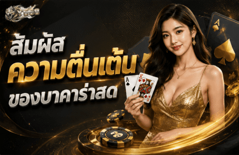 สัมผัสความตื่นเต้นของบาคาร่าสด